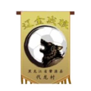 黑龙江肇源县代龙村辽金战狼队